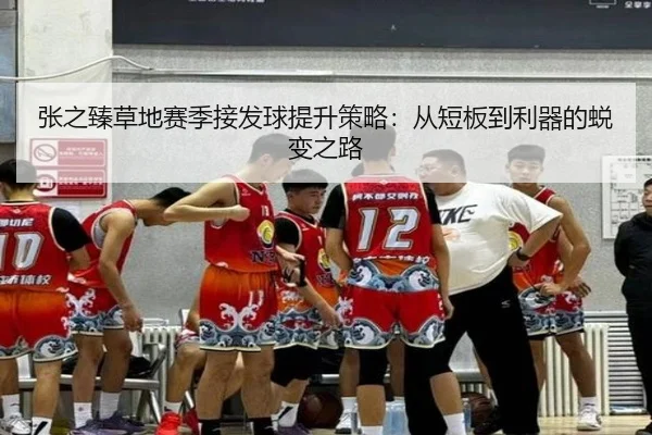 张之臻草地赛季接发球提升策略：从短板到利器的蜕变之路