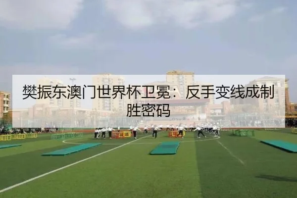 樊振东澳门世界杯卫冕：反手变线成制胜密码